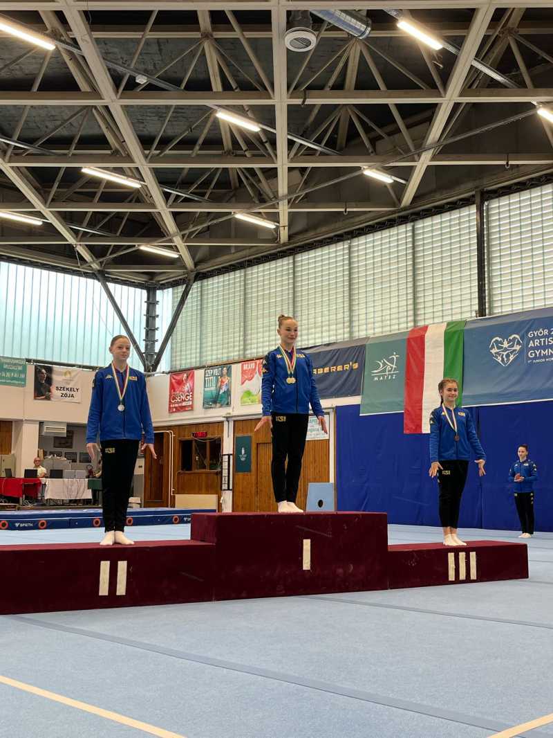 2c2311cf-a2e5-4734-bf08-d6552deca312.jpg